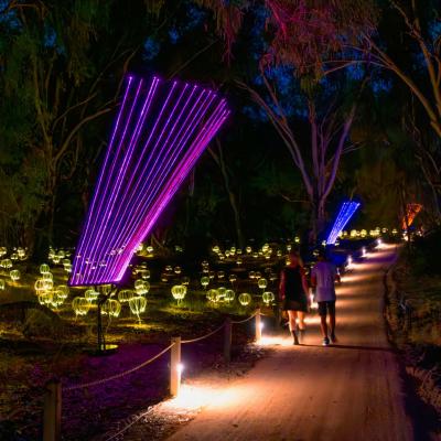 Trail of Lights image