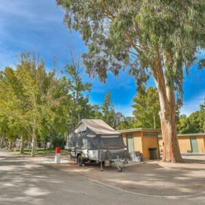 Rivergardens-Holiday-Park-Caravan-Camping-Ensuite-Site-900px-0000-Sep-19